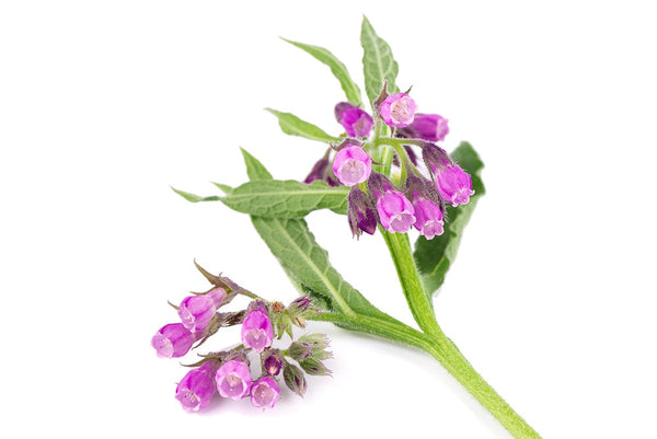Allantoin
