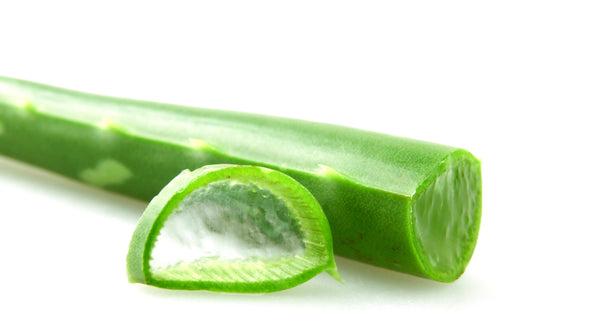 Aloe Barbadensis Leaf Extract