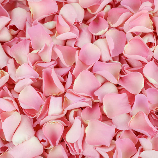 Rose Petals / Rose Petal Extract
